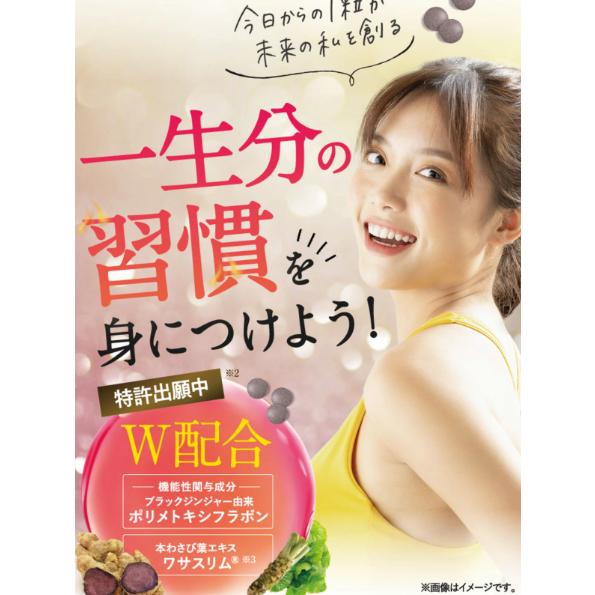 FLAVOS フラボス 機能性表示食品 サプリメント ブラックジンジャー