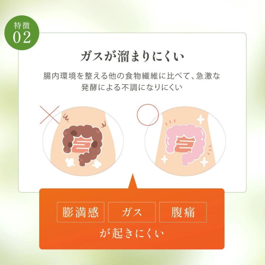 公式 ラクファイバー 1袋 ニコリオ グアーガム分解物 グァーガム