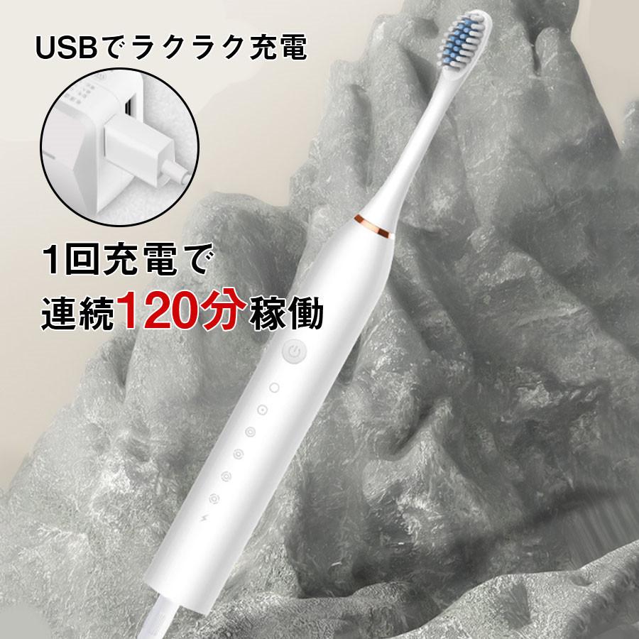 即納 電動歯ブラシ 音波ブラシ 替えブラシ4本付き usb充電式 6 即納 電動歯ブラシ 音波ブラシ 替えブラシ4本付き usb充電式 6