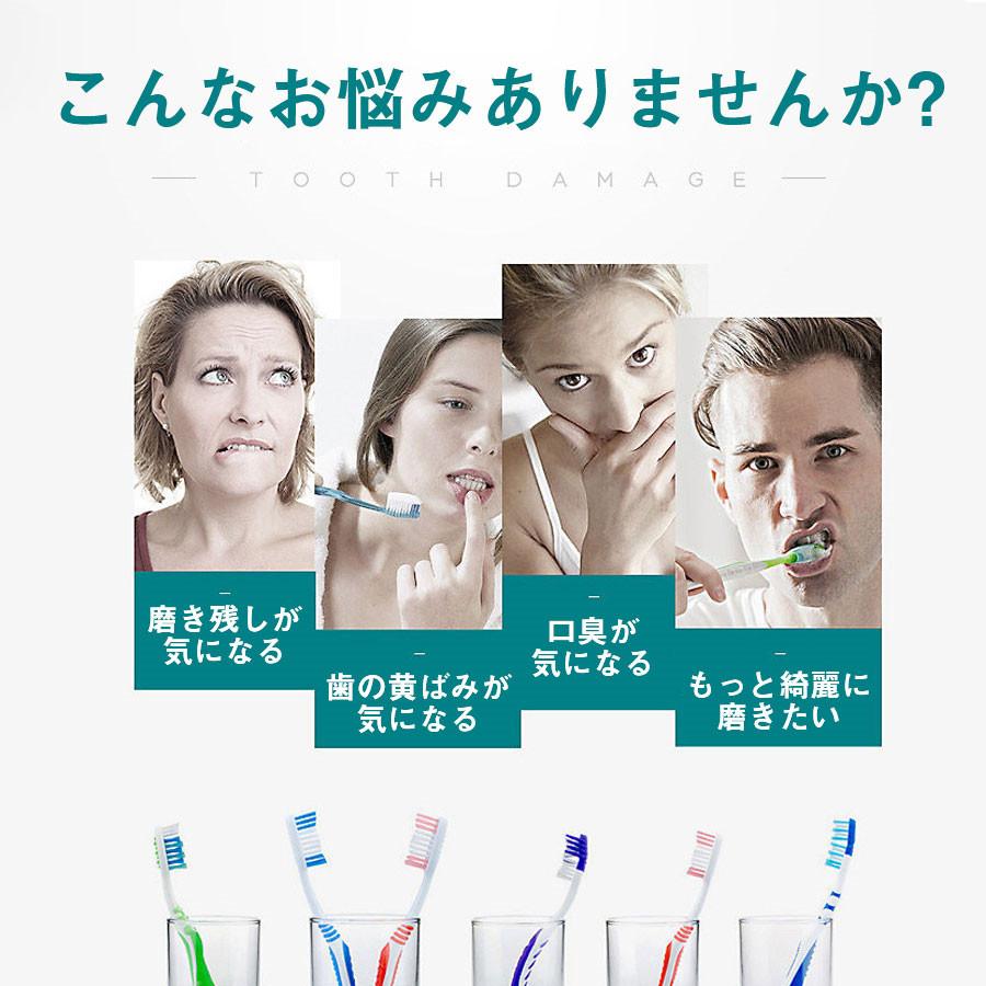 即納 電動歯ブラシ 音波ブラシ 替えブラシ4本付き usb充電式 6 即納 電動歯ブラシ 音波ブラシ 替えブラシ4本付き usb充電式 6