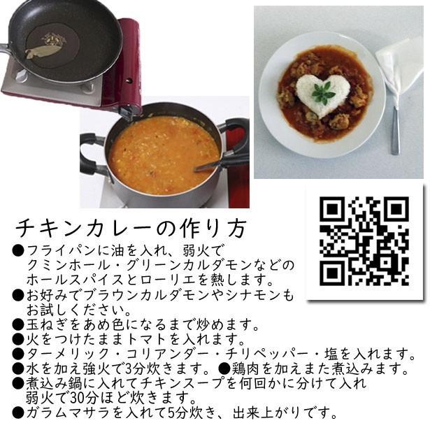 本格派 カレー スパイス セット 5種類  各100g クミンはホールとパウダー・ターメリック・コリアンダー・チリペッパー｜nideru｜07