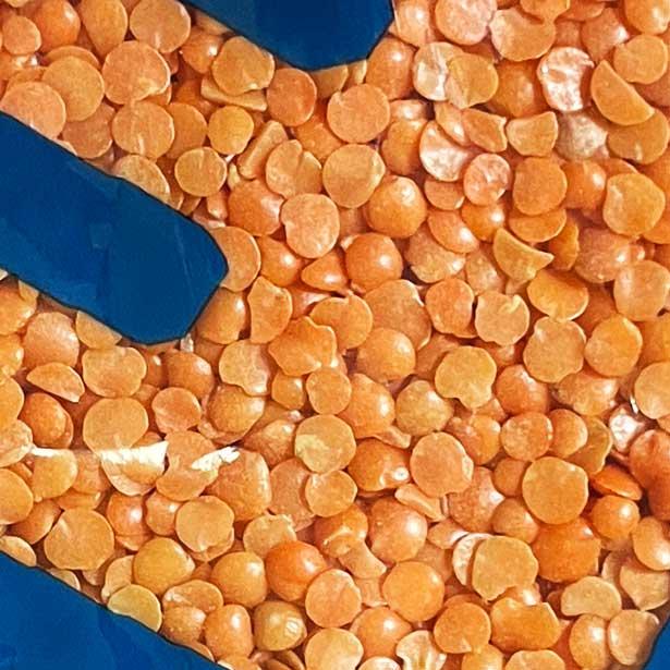 レンズ豆 １kg ヒラマメ/マスールダールの挽き割り レッドレンティル（水で戻す必要なし）インド産 賞味期限2024.12.31｜nideru｜02