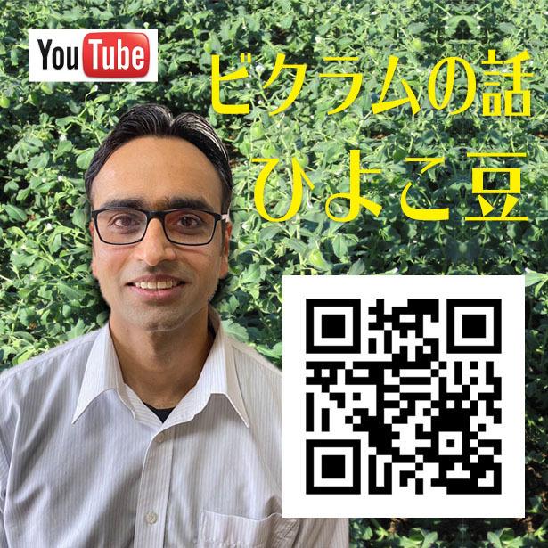 ムングダール グリーンホール(皮むいてない緑豆)1kg インド産 賞味期限2024.4.30 :vishwas-greenmoong:nideru - 通販 - Yahoo!ショッピング ムングダール グリーンホール(皮むいてない緑豆)1kg インド産 賞味期限2024.4.30 :vishwas-greenmoong:nideru - 通販 - Yahoo!ショッピング