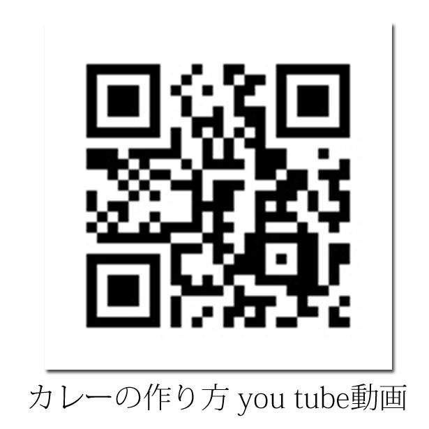 本格派 カレー スパイス 基本セット パウダー 各100g クミン・ターメリック・コリアンダー・チリ・ガラムマサラ｜nideru｜08