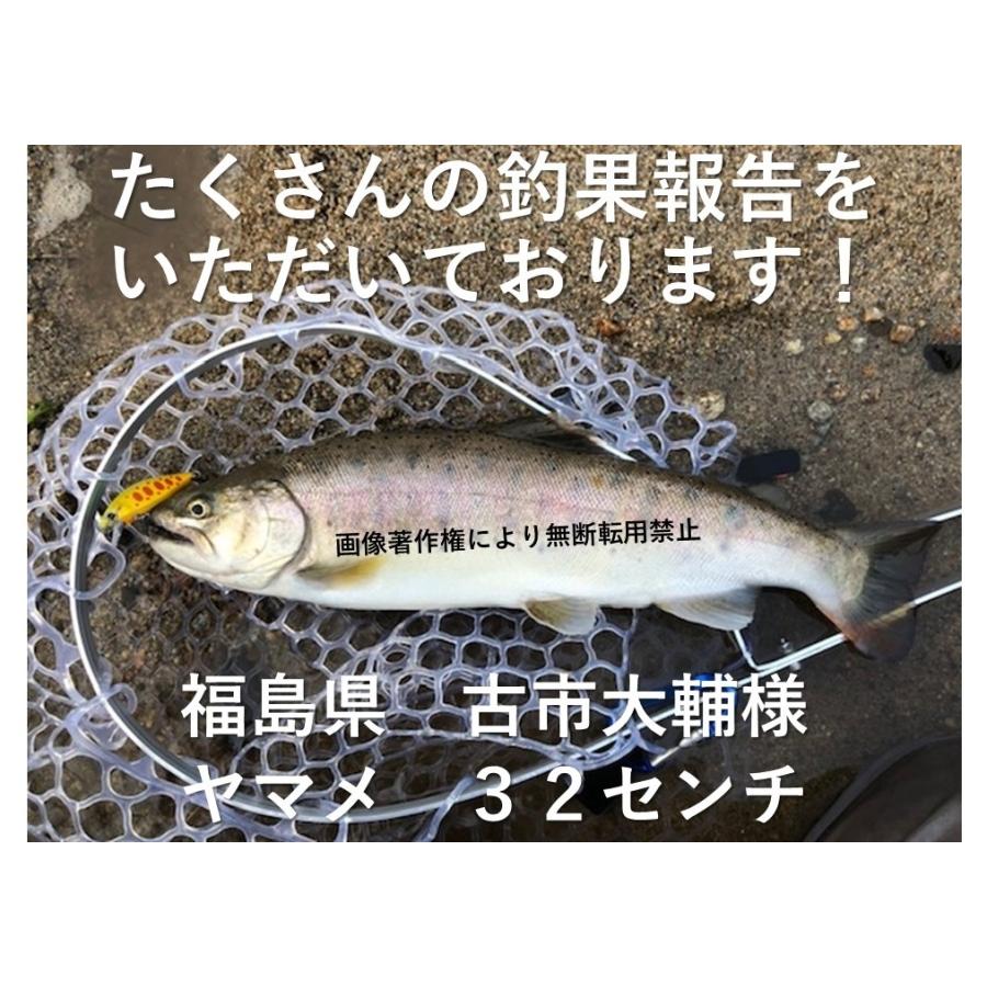 釣具 ルアー 4.5g 誘う ヒラうち系 トラウトミノー 5色 ルアーセット