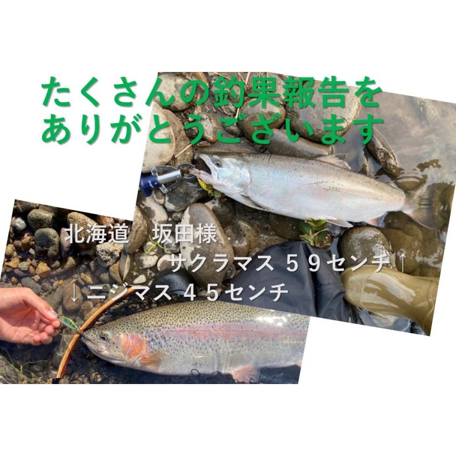 渓流ルアー トラウトミノー 4.5g 渓流ミノー トラウト 5色 ルアー