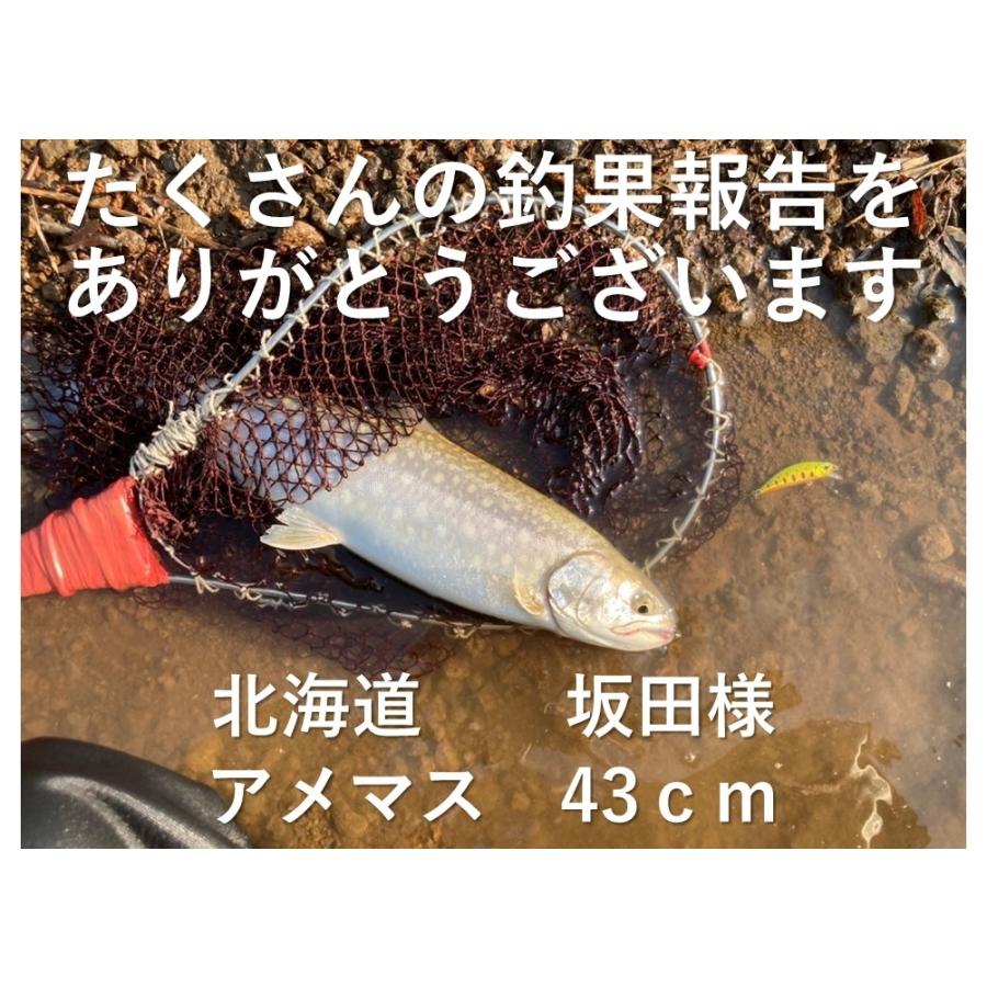 渓流ルアー トラウトミノー 5g 渓流ミノー トラウトルアー 5色 ルアー