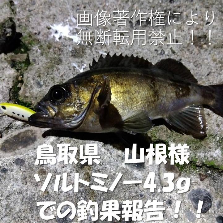 メバルルアー ソルトミノー 3.6g アジング メバリング シンキング