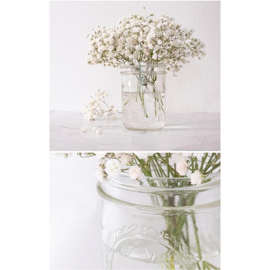 21新発 アウトレット メイソンジャー ワイドマウス 480ml 16oz 16オンス クリアー 保存容器 密閉 容器 おしゃれ Masonjar Ball 煮沸 キャニスタ Aynaelda Com