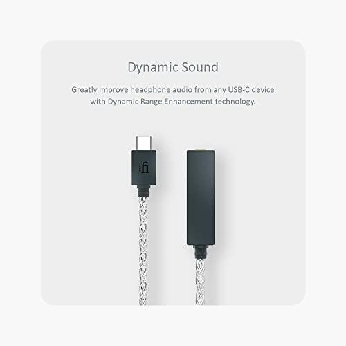 iFi audio GO link スティック型USB-DACアンプ 【国内正規品】 :2893
