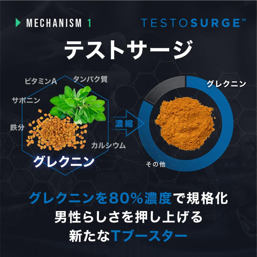 公式】セラバスD6 テストサージ フィトノックス GABAアストラジン