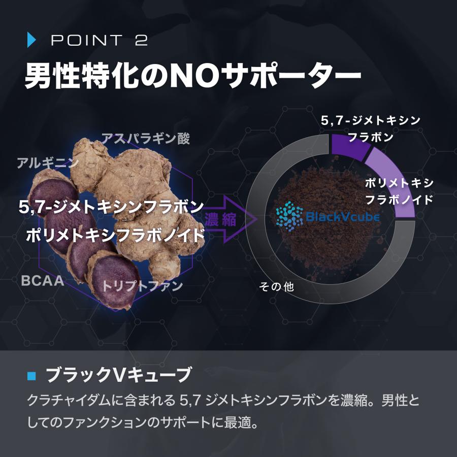 公式】ニトロキューブNOX ブラックVキューブ オキシストーム
