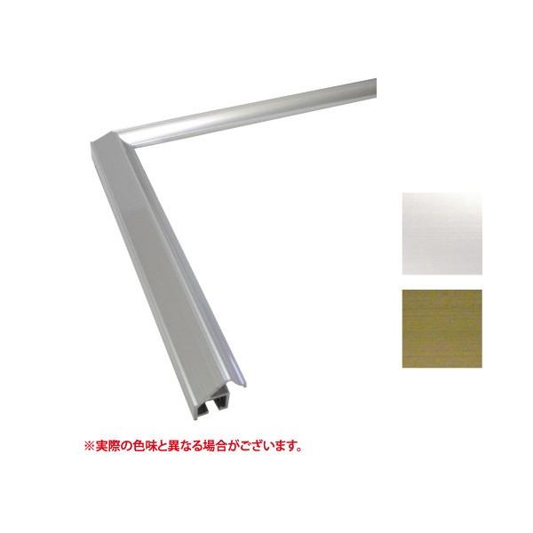 選べるフレームカラー 額縁 額縁 ポスターフレーム 横長サイズ D 横長 楽器 手芸 コレクション Mg