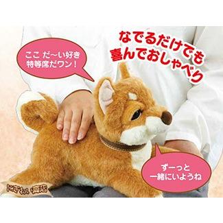 イワヤ おはようで始める なごみケーションわんこ (柴犬) 〔在庫アリ 