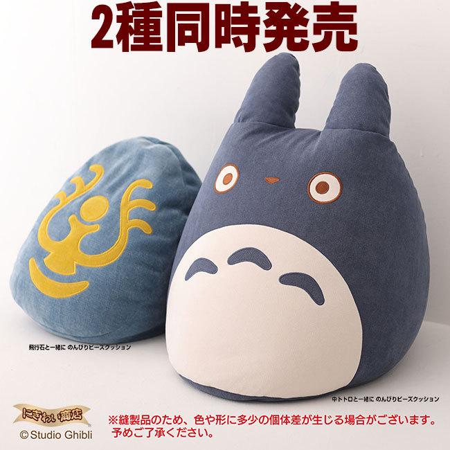 飛行石と一緒にのんびりビーズクッション 〔予約：2〜5営業日程〕 : 変