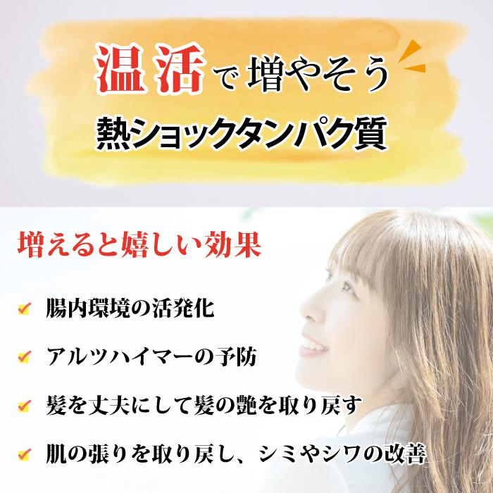 極 岩盤浴 自宅用 黒翡翠 トルマリン べん石 光触媒 温度触媒   遠赤外線 遠赤外線 簡単 コンパクト 折りたたみ 簡易 温活 癒し |  | 10
