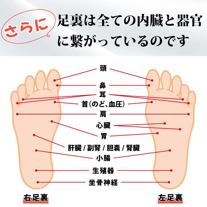 低周波電気マッサージ組み合わせ家庭用医療機器 フットサポートEV 低周波 電気マッサージ バイブレーション ほかほか ふくらはぎ 健康 美容 ダイエット 疲労回復 |  | 09
