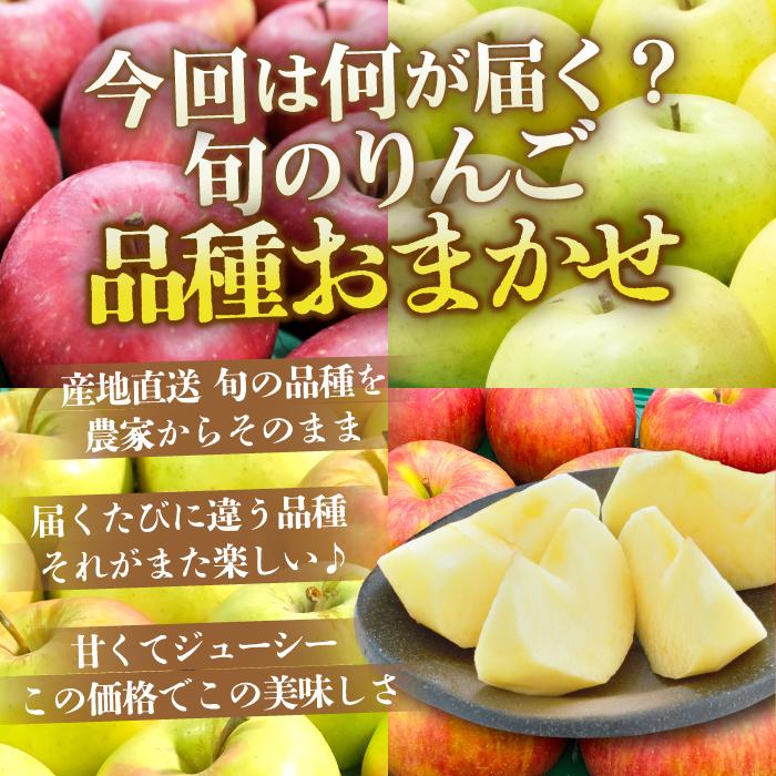 食品 ＂店長おまかせミックス＂ 【 青森県産 家庭用 りんご 10kg