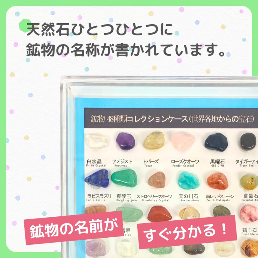 鉱石 セット 天然 岩石 鉱物 宝石 標本 図鑑 研究 自由研究 宿題 勉強