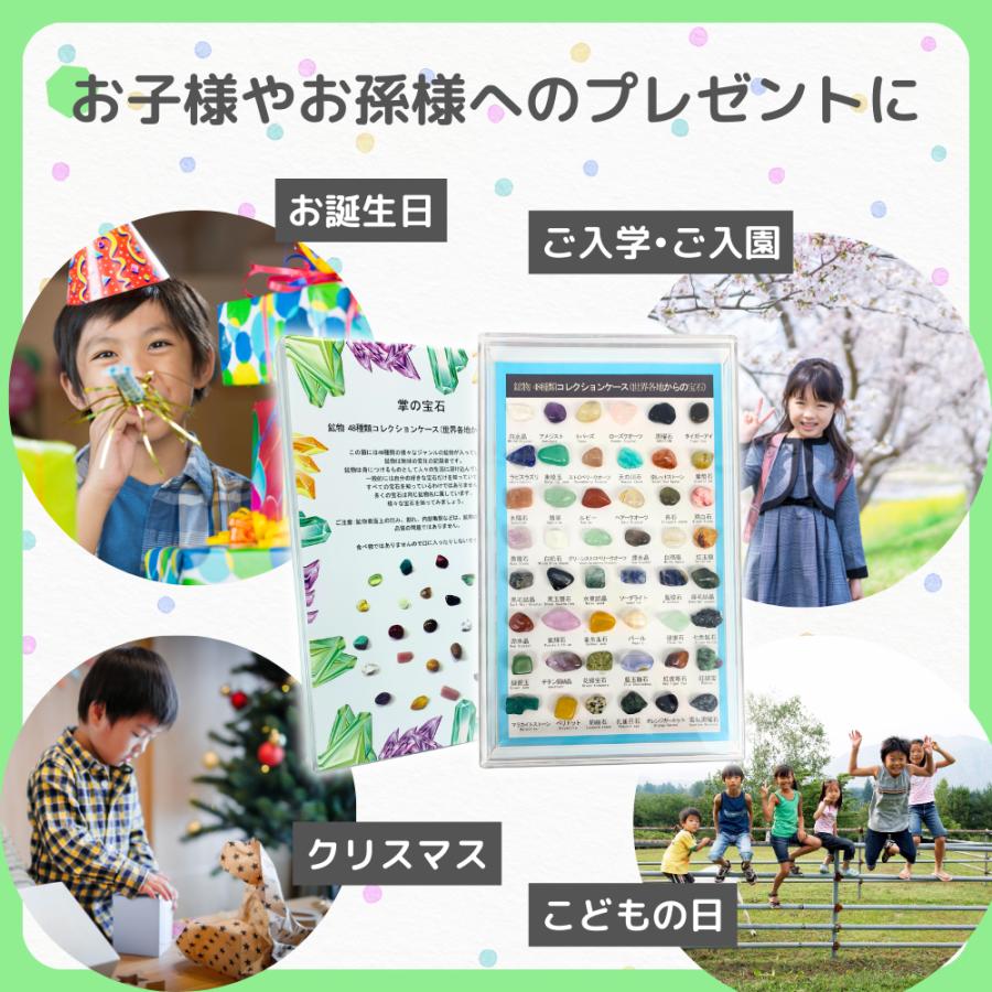 鉱石 セット 天然 岩石 鉱物 宝石 標本 図鑑 研究 自由研究 宿題 勉強