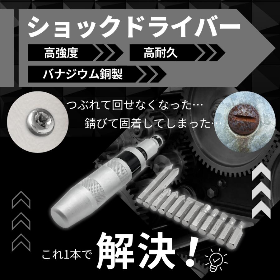 ショックドライバー ビットケースセット ネジ外し 工具 クロム