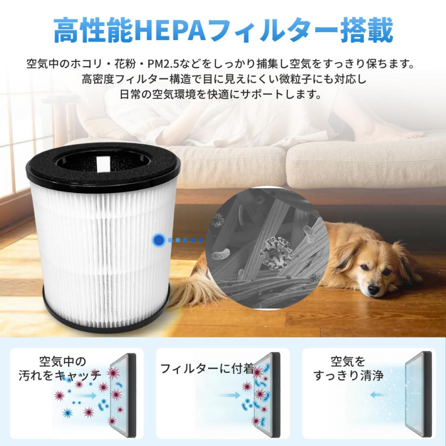 交換用フィルター 2個セット Longsafe Tailulu 互換品 交換用フィルター 2個セット H13グレード