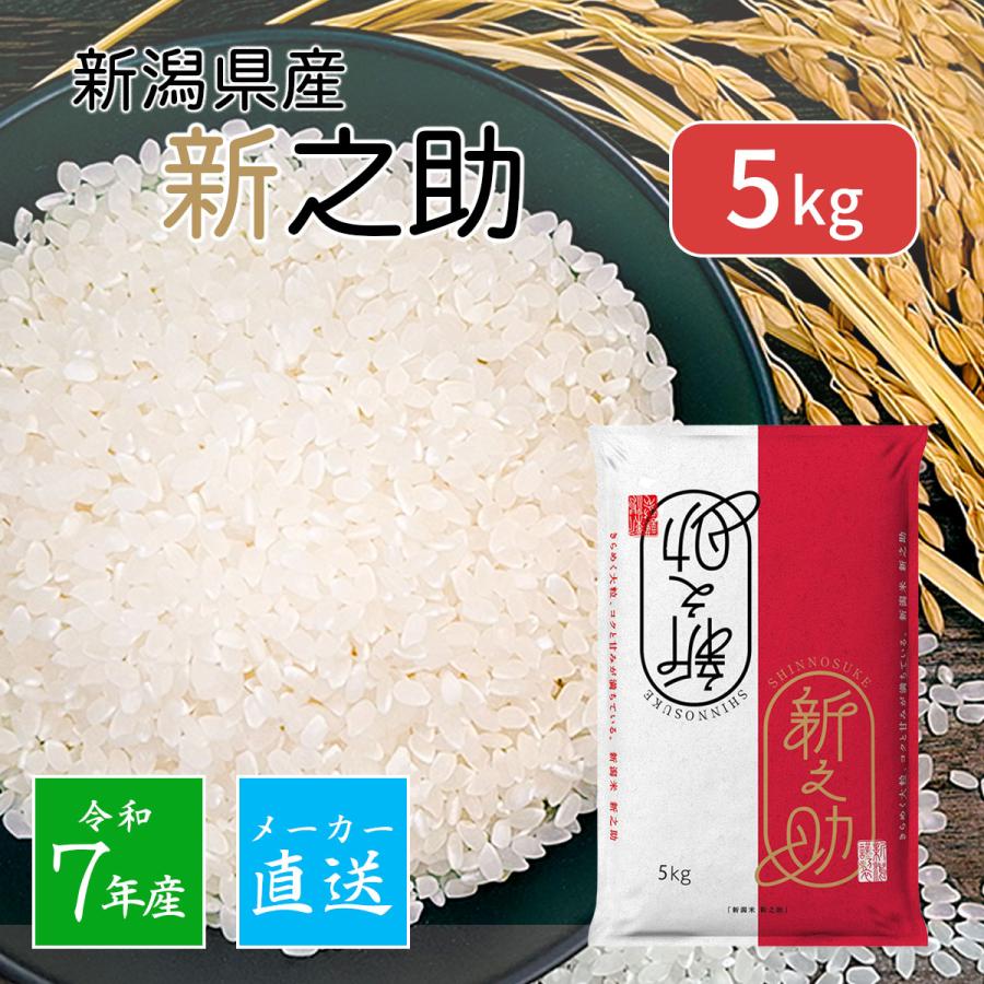 新之助（しんのすけ） 米 精米 新潟産 5kg（5kg×1袋）メーカー直送