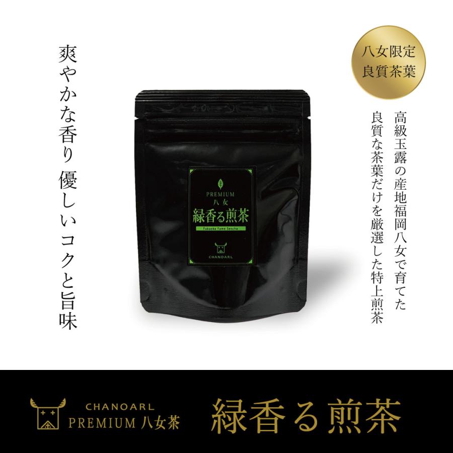 プレミアム八女緑香る煎茶 ティーバッグ 5個入り 国産 深蒸し茶 福岡