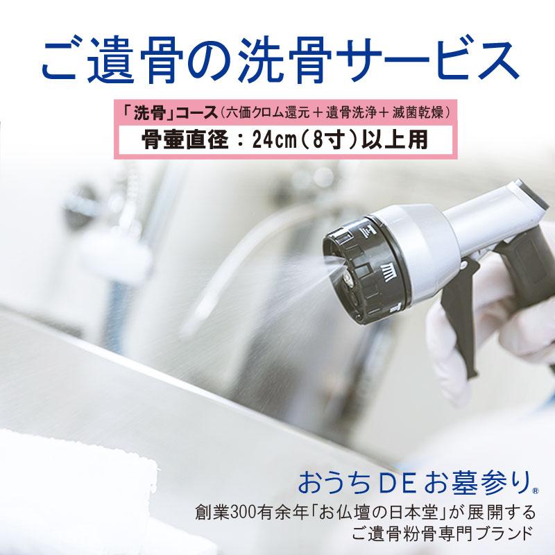 粉骨 遺骨洗骨「洗骨 (六価クロム還元・遺骨洗浄・滅菌乾燥 粉骨 遺骨洗骨「洗骨 (六価クロム還元・遺骨洗浄・滅菌乾燥