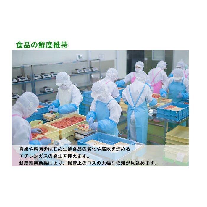 【送料無料】空気浄化（除菌・脱臭）装置【レスパー】　ＲｅＳＰＲ−ＯＮＥ 送料無料】空気浄化（除菌・脱臭）装置【レスパー】 ReSPR