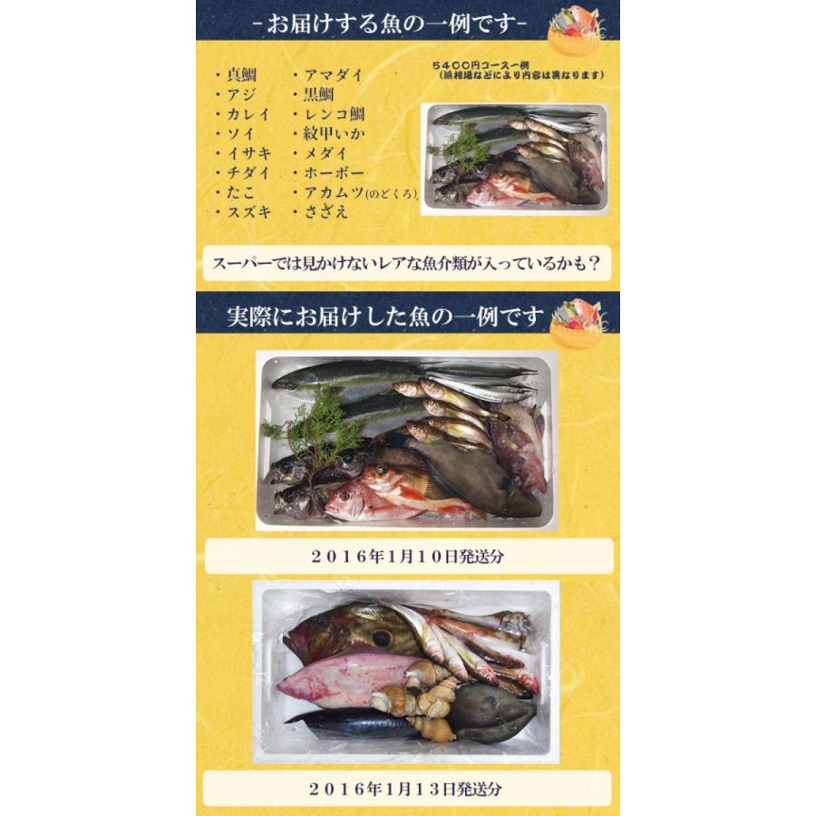 絶対お得 厳選鮮魚セット宝船5400円コース Sengyo Set2 日本海市場 通販 Yahoo ショッピング