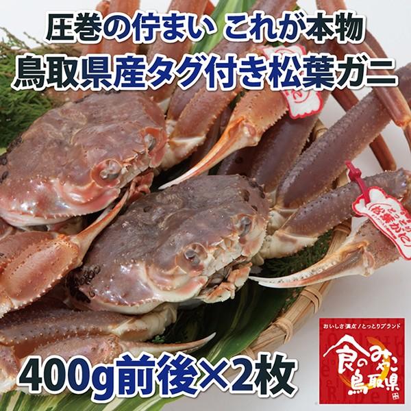 タグ付き松葉ガニ(活) 小サイズ2枚で800g前後 tagmatsubais2set日本海市場 通販 Yahoo!ショッピング