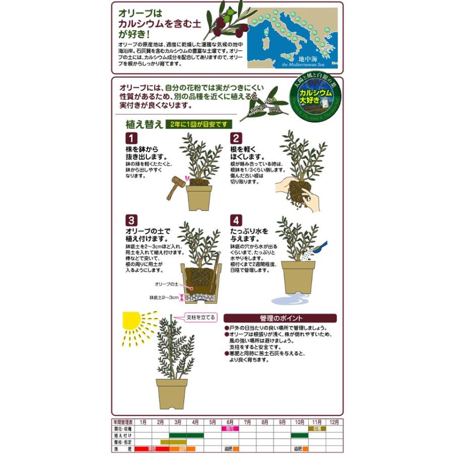 オリーブの土 12L 花ごころ :z-1079277:日本花卉ガーデンセンターYahoo!店 - 通販 - Yahoo!ショッピング オリーブの土 12L 花ごころ :z-1079277:日本花卉ガーデンセンターYahoo!店 - 通販 - Yahoo!ショッピング