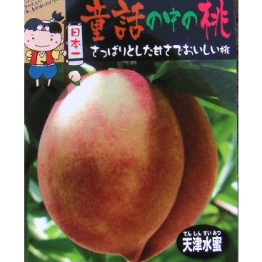 天津水蜜桃　桃苗木（童話の中の桃）接木2本セット今週特売品 天津水蜜桃 （桃）：果樹苗 桃の苗木 苗 テンシンスイミツモモ : 日本