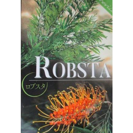 グレビレア　ロブスター グレビレア ロブスタ 5ポット植え : 日本花卉ガーデンセンター