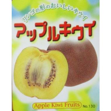 5 大好評 キウイフルーツ アップルキウイ メス木 果樹苗 Aynaelda Com