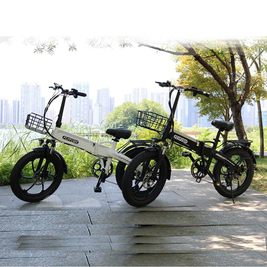 【即納能力のある】FLYFISH 2025 型お墨付き克ち取る 御墨付き不必要 公道走行能力のある 電動助けること銀輪 20in カゴ付き添い人 銀輪 電動  e-bike bicycle 折り畳み  折りたたみ 軽さ