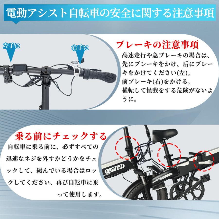 2025新型 型式認定 FLYFISH 折り畳み式 20インチ 電動アシスト自転車