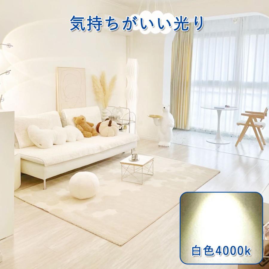 LEDコンパクト蛍光灯 FHT57形 FHT57EX-N 昼白色 FDL32EXL FDL32EXN