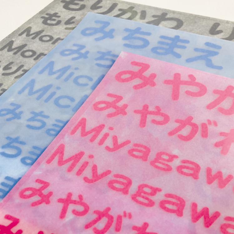 フロッキーネーム イラスト付き 3サイズ2色セット ひらがなローマ字イニシャル なめれるフロッキー 送料無料 ニホンセン 通販 Yahoo ショッピング