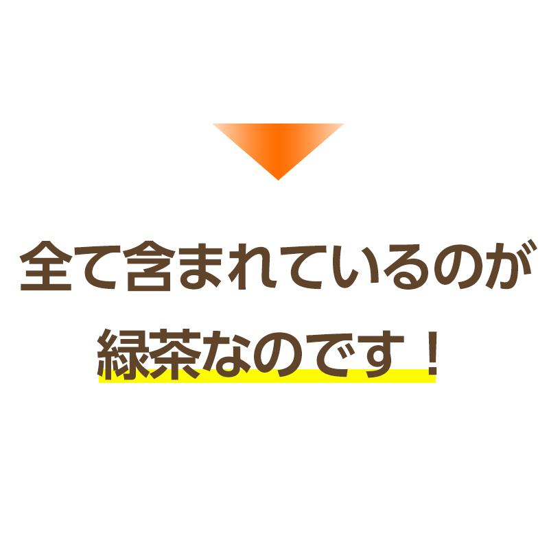 深蒸し茶 特上 200ｇ 即日発送 ふかむし茶 日本茶 静岡産 緑茶 煎茶｜nihonsyoku｜12