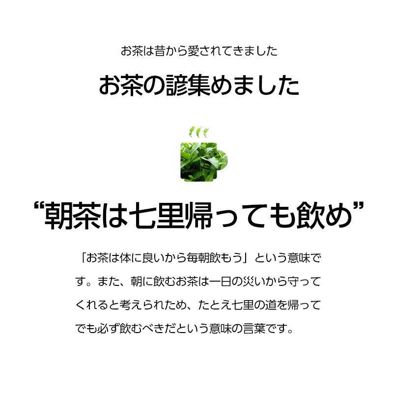 深蒸し茶 特上 200ｇ 即日発送 ふかむし茶 日本茶 静岡産 緑茶 煎茶｜nihonsyoku｜16