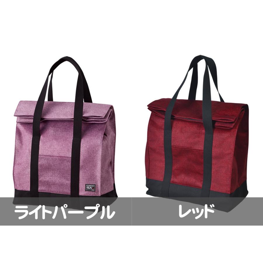 剣道 防具袋 色季─shiki─ トートバッグ型 剣道防具袋 選べるカラー6 