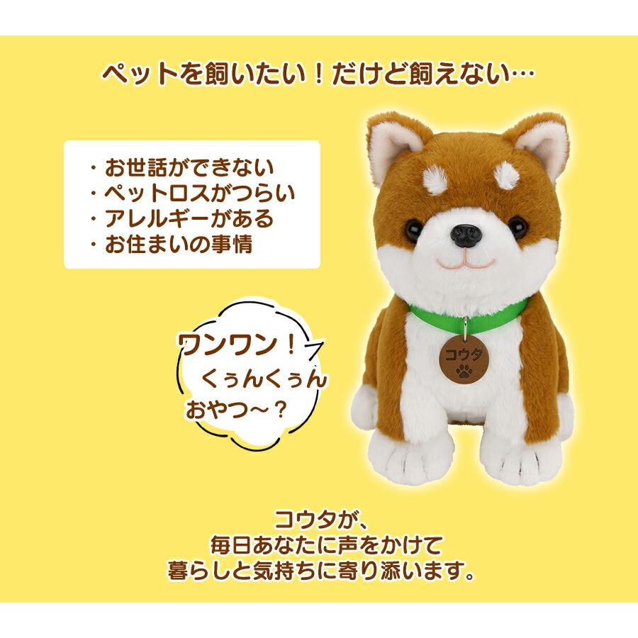 バンダナ付セット こんにちワン！しばいぬコウタ しゃべる 電池付き 犬 イヌ ぬいぐるみ 音声認識 会話 柴犬 歌う 電子ペット お話 可愛い 柴犬コウタ｜nihontuuhan｜05