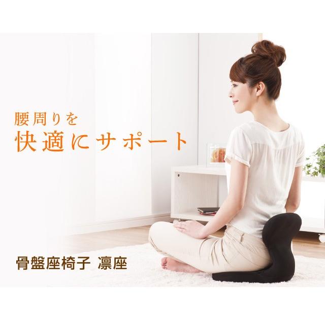 ドリーム 座椅子 骨盤 姿勢補助 座いす 腰 サポート ラボネッツ 骨盤座 