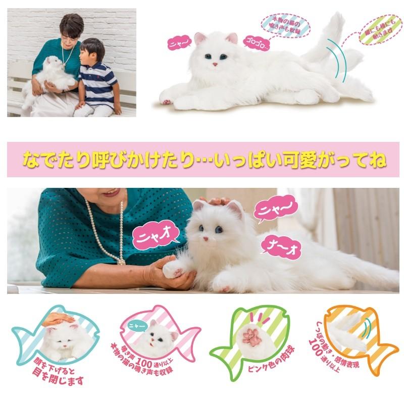 在庫限り あなたのパートナー しっぽふりふり あまえんぼうねこちゃん ネコ型ペットロボット ニャーンとお返事 動くぬいぐるみ ネコ 猫 しっぽフリフリ Tsu87 日本通販ショッピング 通販 Yahoo ショッピング 珍しい Www Doctor Plan Com