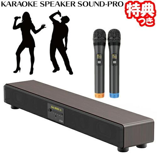 TO-PLAN カラオケ スピーカー TKMI-002 マイク2本付き 【公式通販】