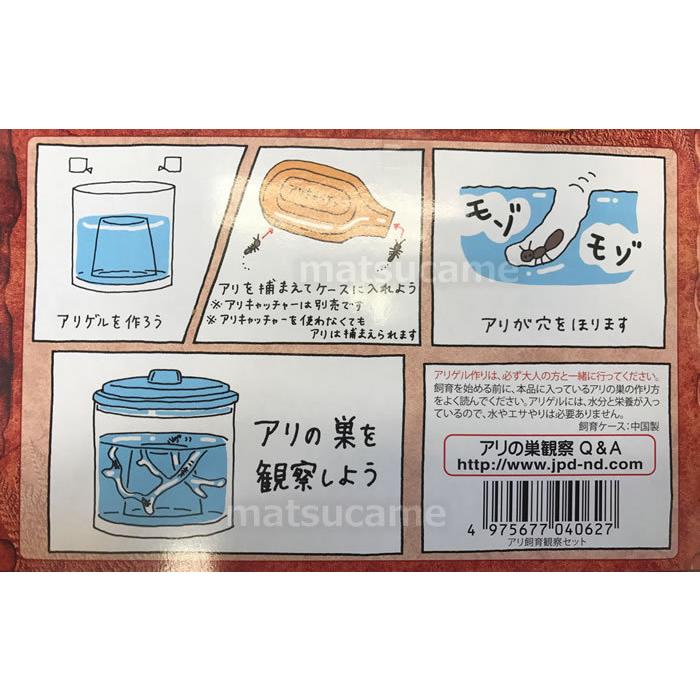 アリの巣 飼育観察セット 夏休み 宿題 自由研究 アリ観察セット アリの巣 飼育観察セット 夏休み 宿題 自由研究 アリ観察セット