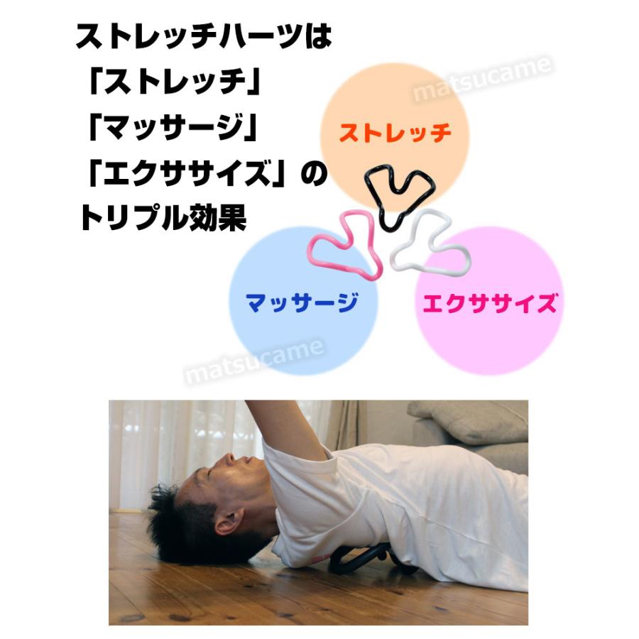 保阪尚希 ストレッチハーツ ストレッチターボ セット 解説dvd 冊子付 ストレッチ器具 通販 保阪尚希ストレッチハーツ 筋膜はがし 肩甲骨はがし 肩甲骨ほぐし Wat5273 日本通販ショッピング 通販 Yahoo ショッピング