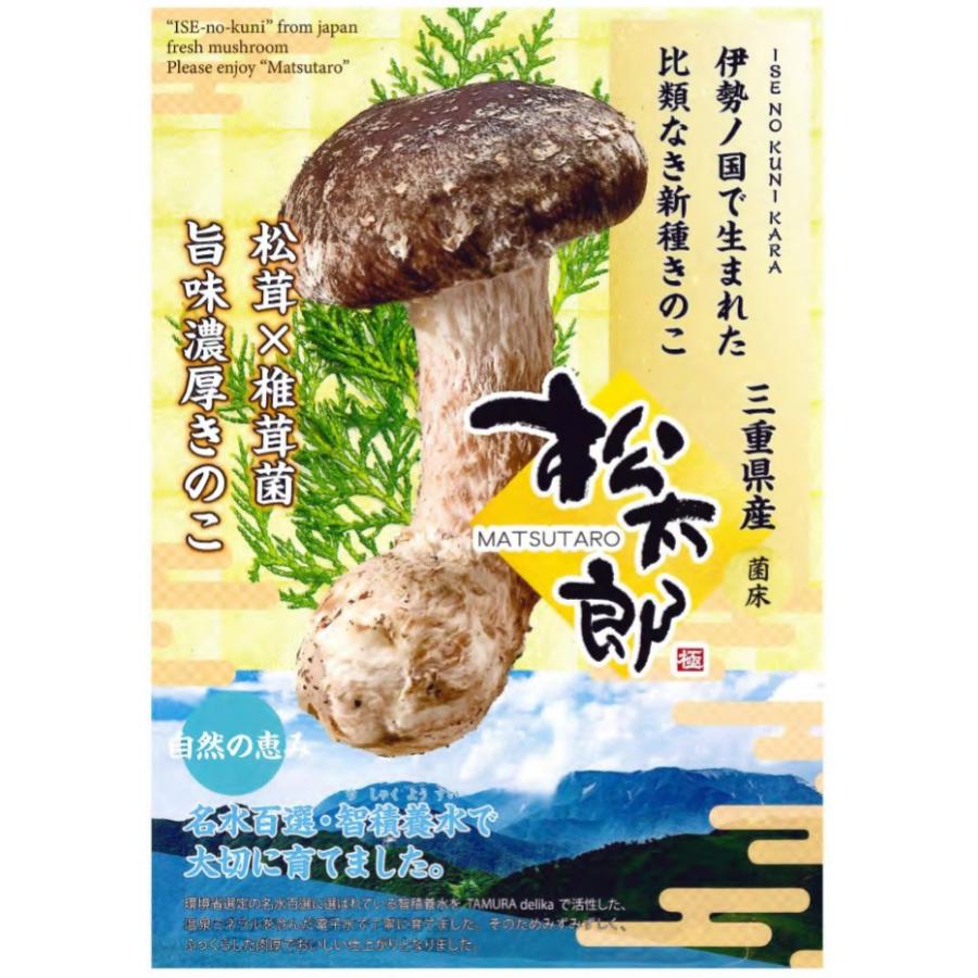 三重県 国産 300g 8 9本 松太郎 松茸 マツタケ 椎茸 菌床 Matsutaro まつたけ と椎茸のハイブリッド菌 きのこ 新種キノコ マツタケ シイタケ Wat5355 日本通販ショッピング 通販 Yahoo ショッピング